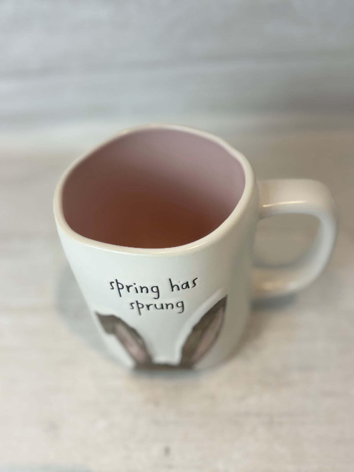 Rae Dunn Spring Has Sprung Mug
