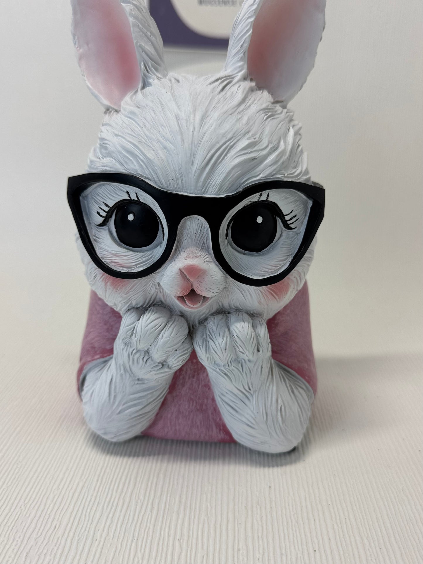 Girl Bunny Wearing Glasses