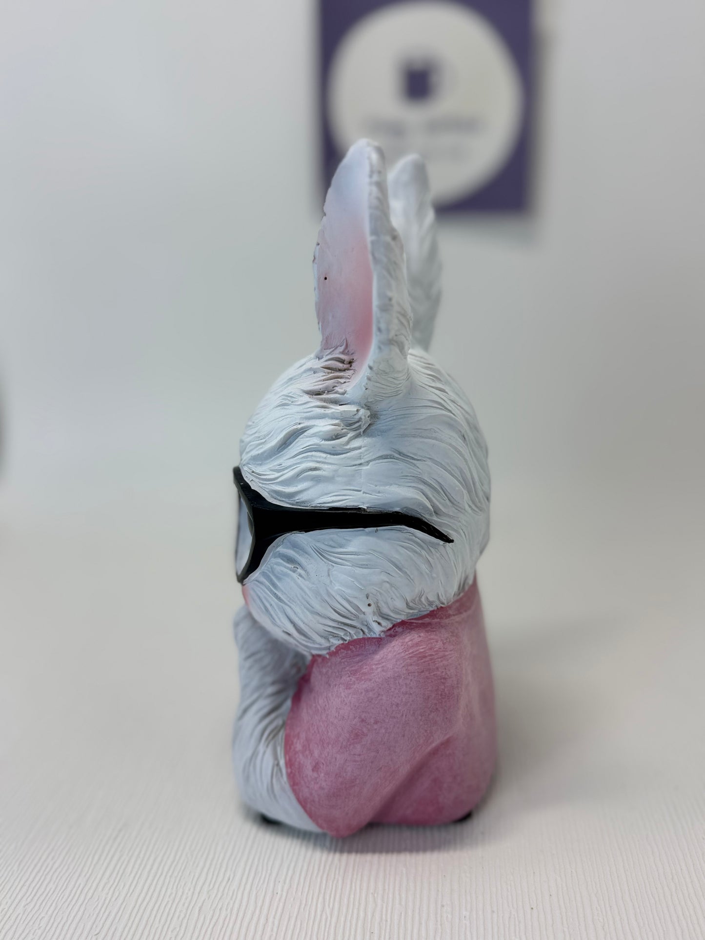 Girl Bunny Wearing Glasses