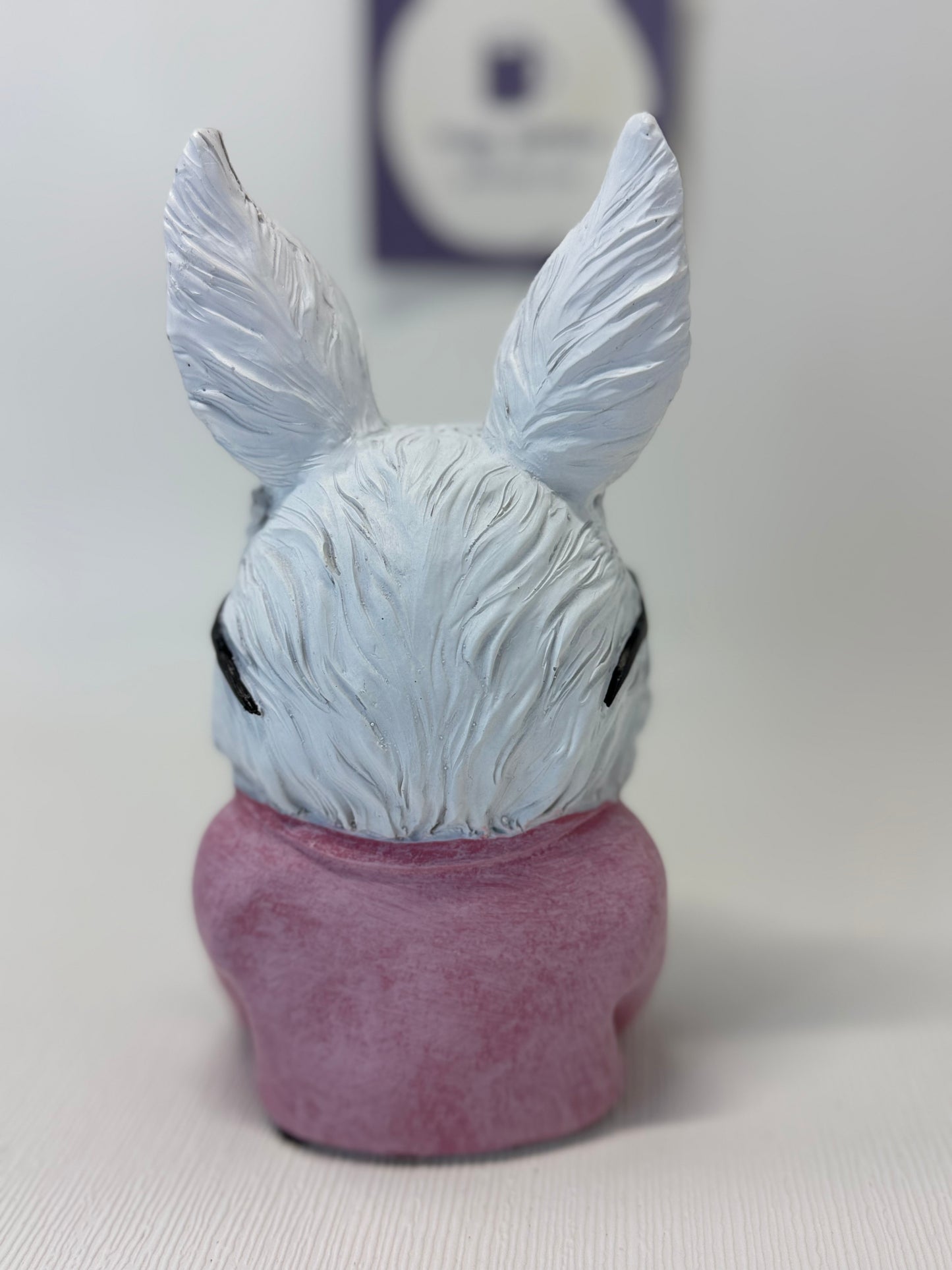 Girl Bunny Wearing Glasses