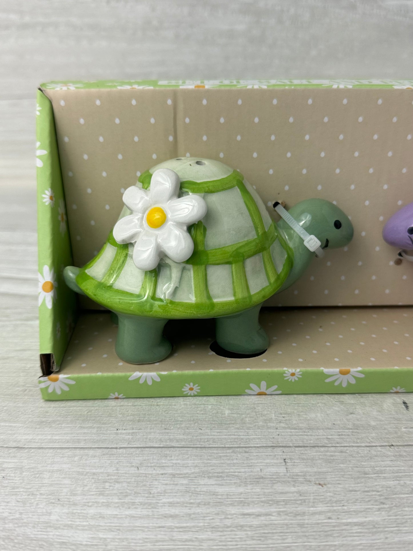 Pastel Turtle Salt and Pepper Shakers