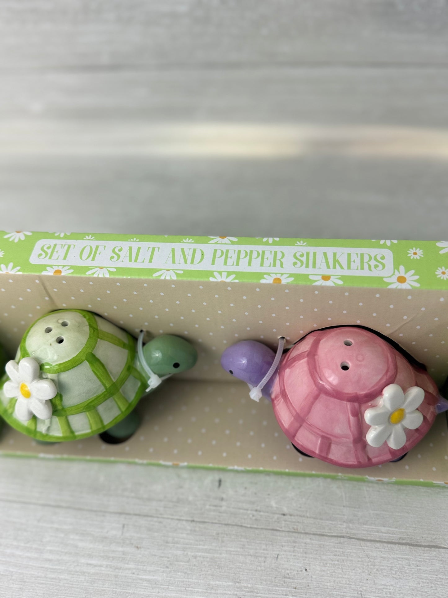 Pastel Turtle Salt and Pepper Shakers