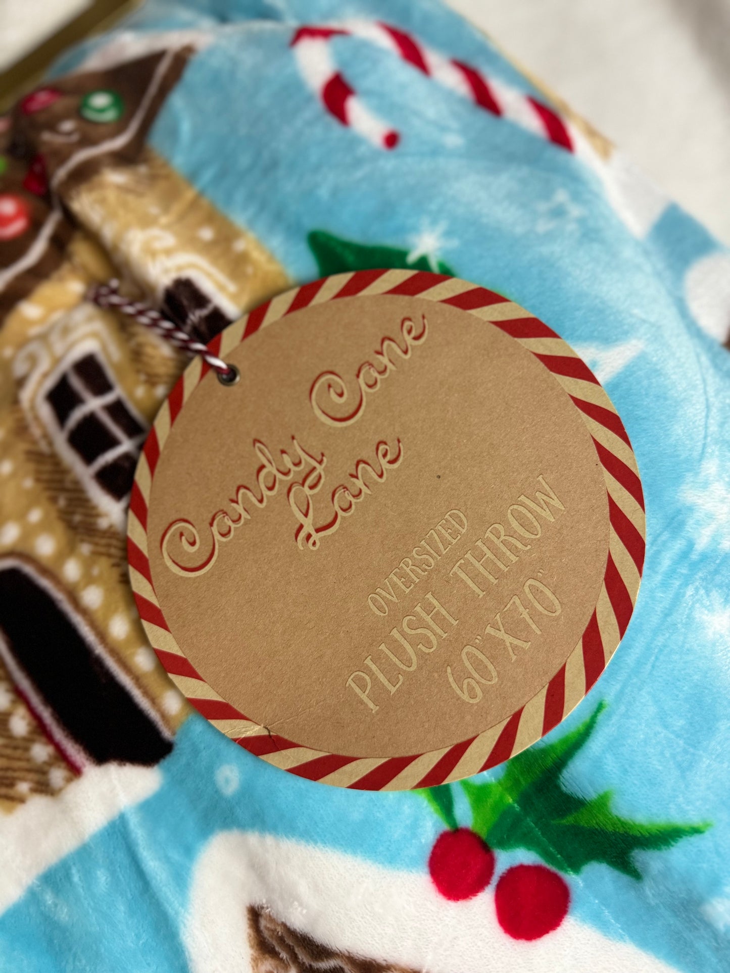 Candy Cane Lane Blue Gingerbread House Throw