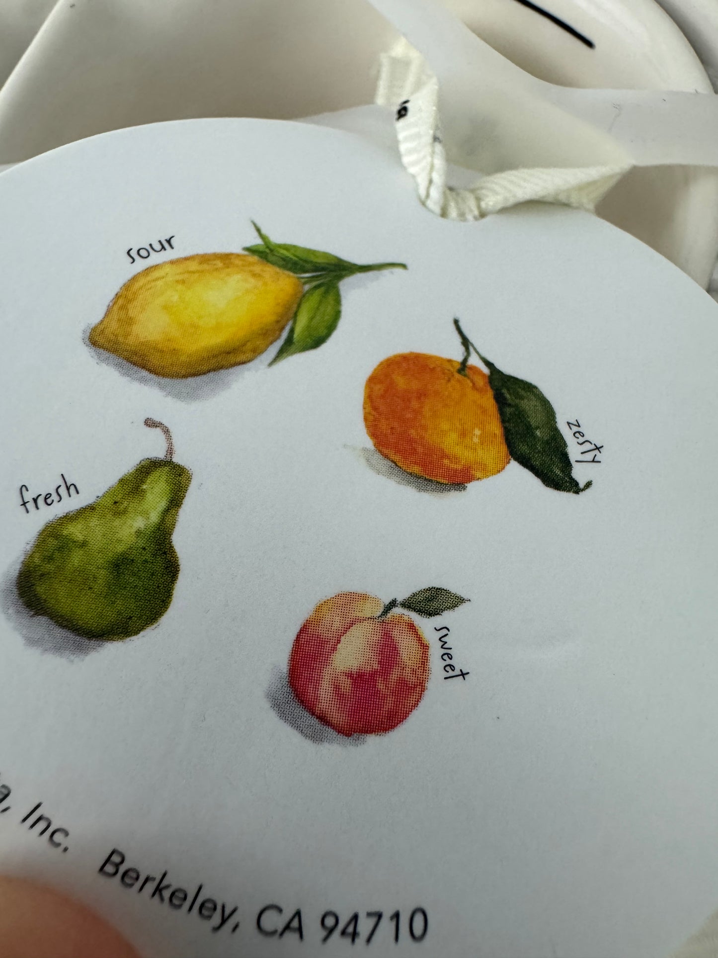 Rae Dunn Citrus Fruits Measuring Cup Set