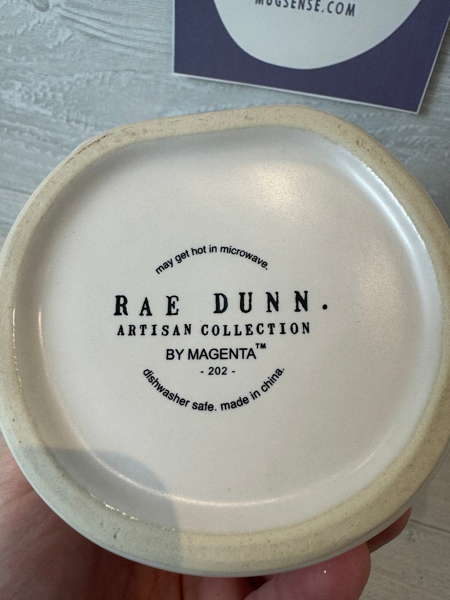 Rae Dunn Spring Has Sprung Mug