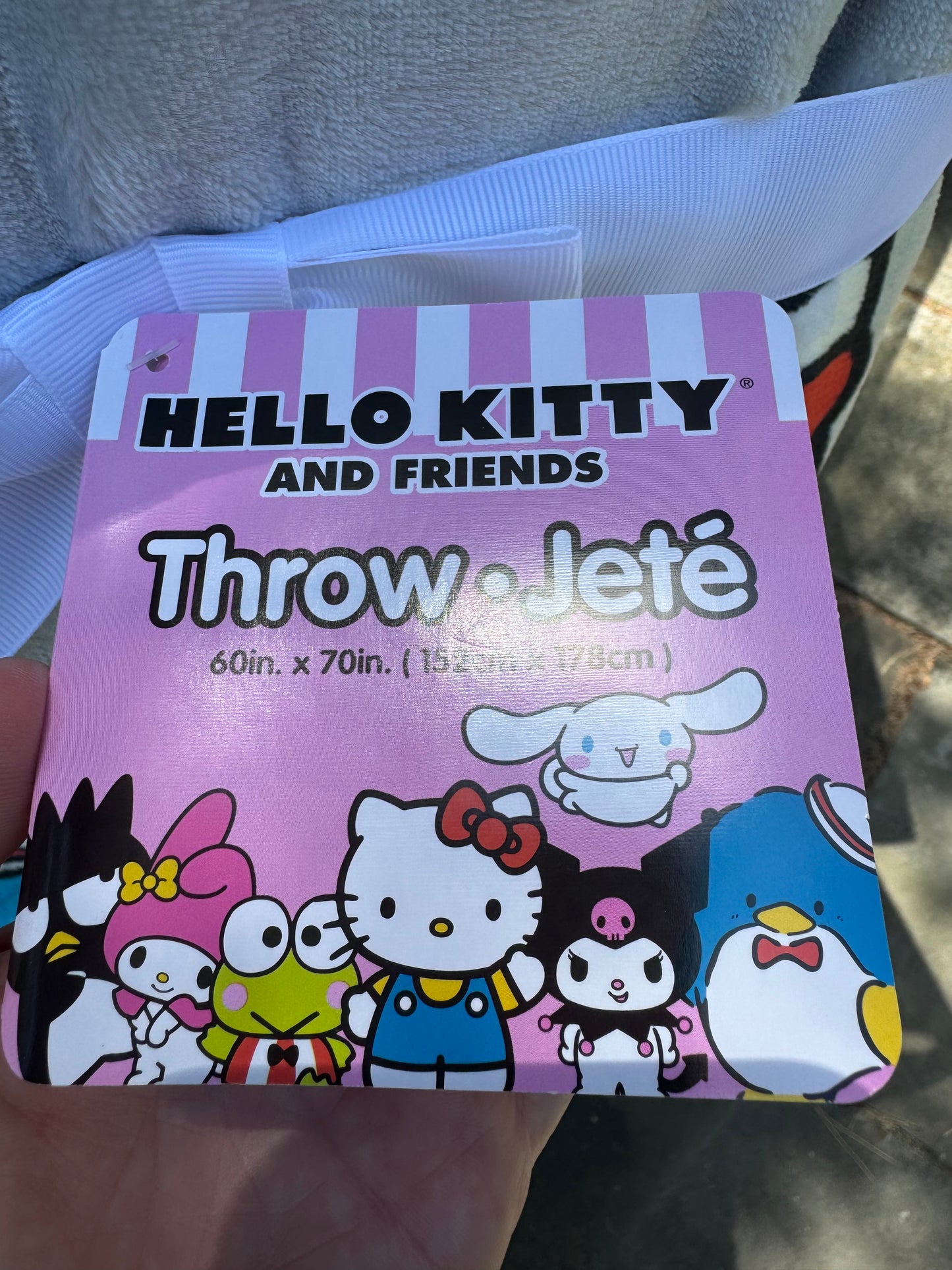 Hello Kitty and Friends Throw Blanket