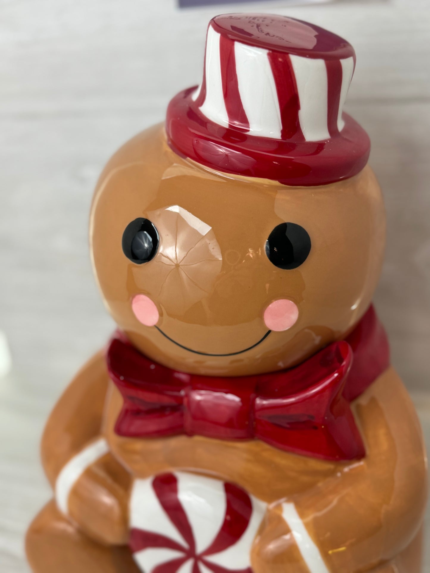 Peppermint & Pine Gingerbread Man Cookie Jar Canister