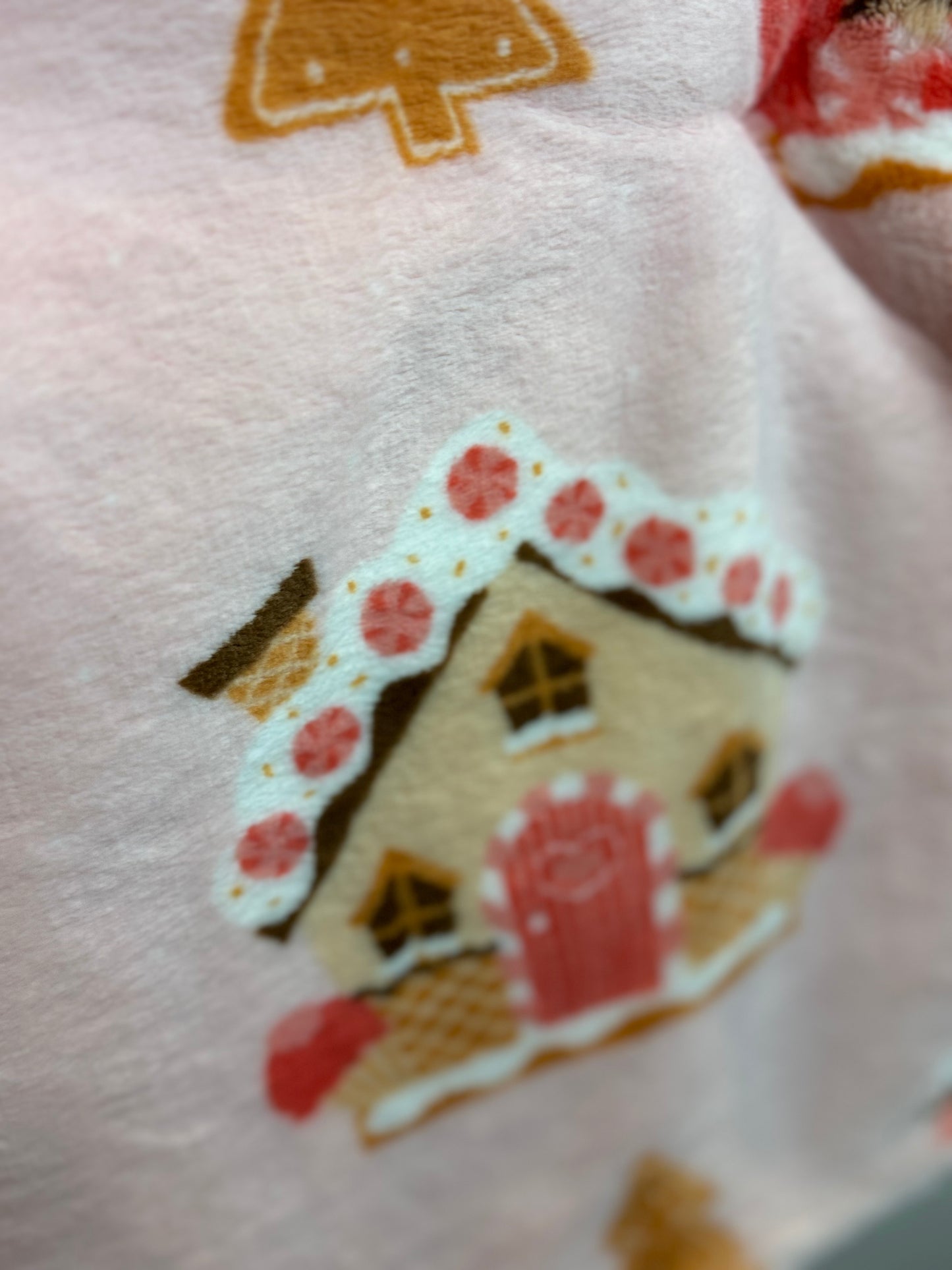 Love & Warmth Pink Gingerbread House Throw