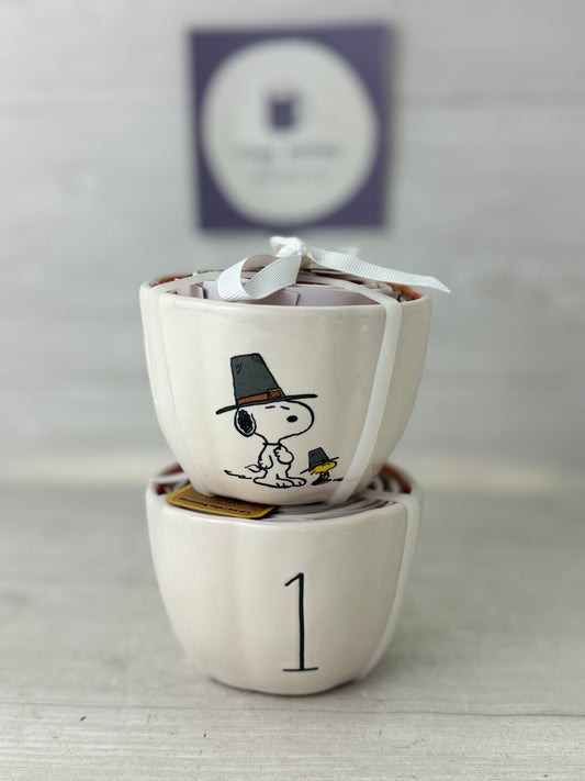 Rae Dunn Peanuts Thanksgiving Measuring Cup Set