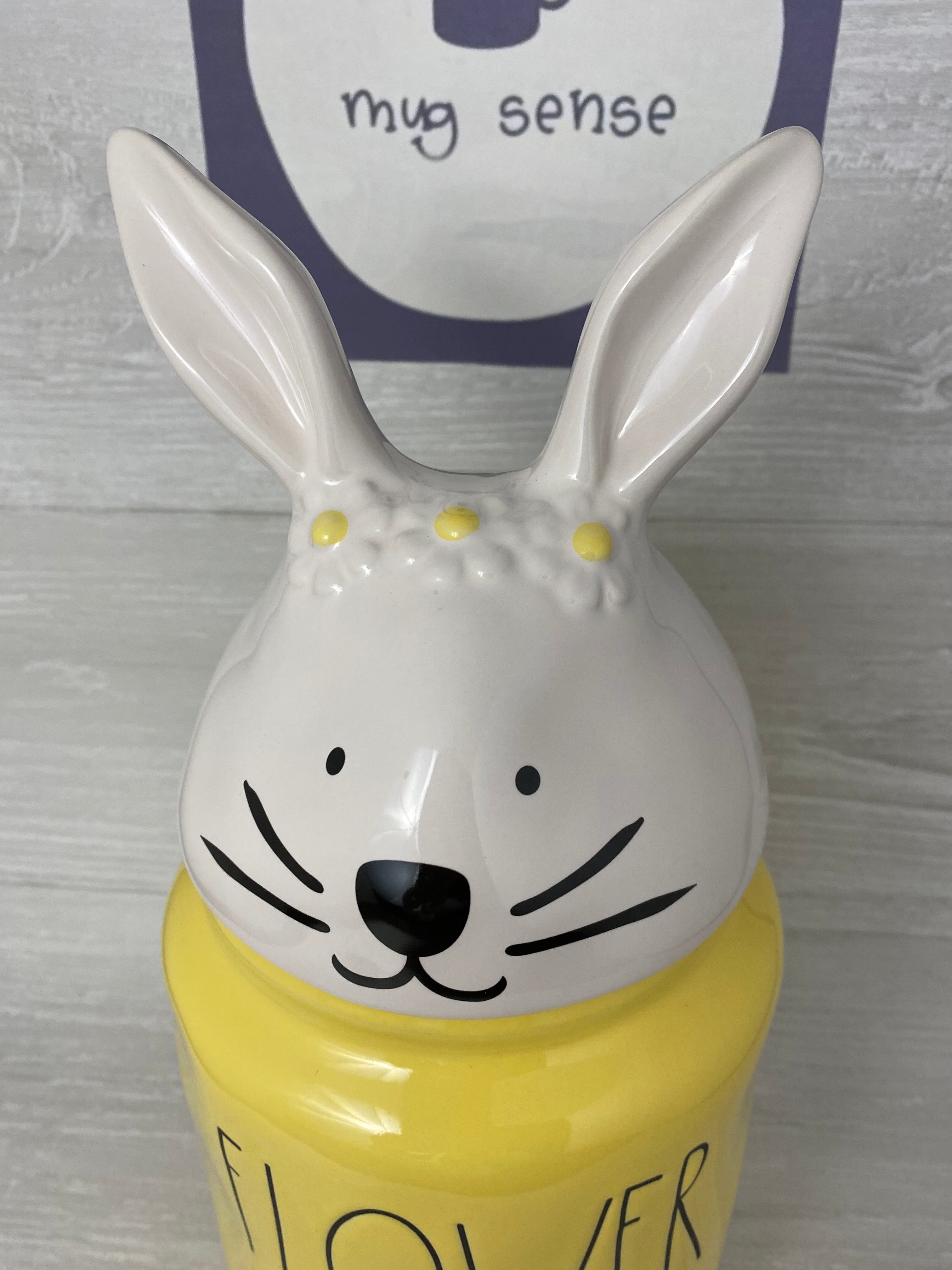 RAE store DUNN BUNNY treats canister